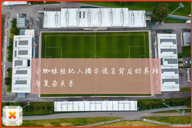小蜘蛛经纪人揭示谎言背后的真相与复杂关系